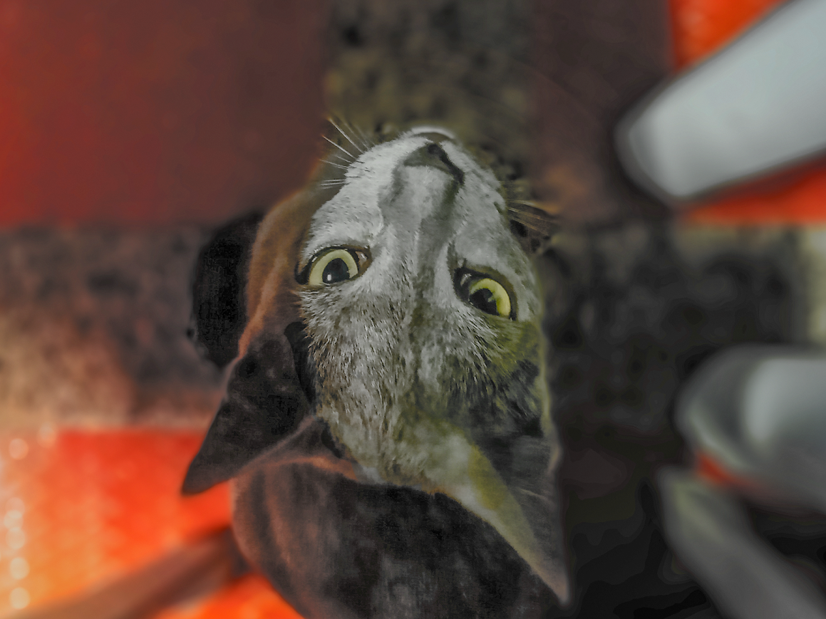 Fotografía de retrato, ángulo cenital